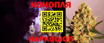 индика Мариинск