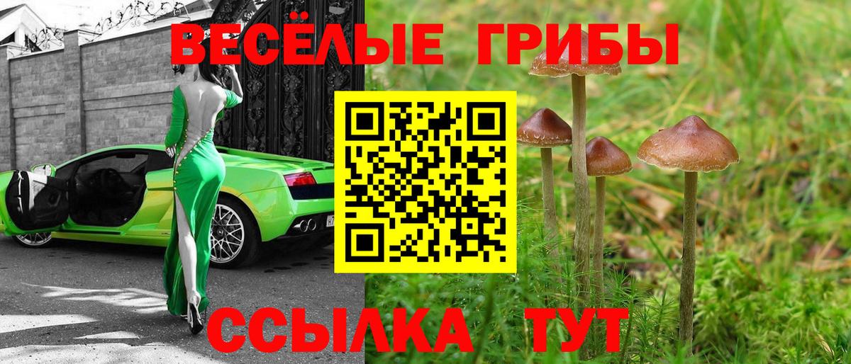 Дзержинский  Псилоцибиновые грибы GOLDEN TEACHER  Галлюциногенные грибы мицелий  Вход с VPN 